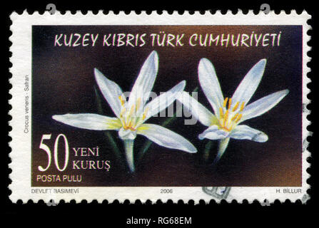 Postage stamp from Northern Cyprus in the Wild Flowers series issued in 2006 Stock Photo