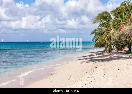 Sandy lane beach early morning, Barbados Stock Photo