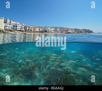 Spain Calella de Palafrugell coastal village with a school of fish underwater, Costa Brava, Mediterranean sea, Catalonia, over and under water Stock Photo