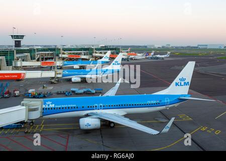 Amsterdam, Netherlands - November 22, 2017: KLM Royal Dutch Airlines Boeing 737-800 airplanes at Amsterdam Schiphol Airport (AMS) in the Netherlands. | usage worldwide Stock Photo