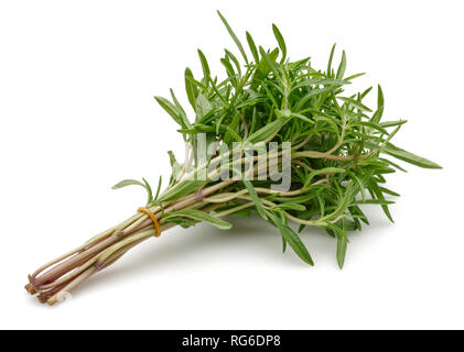 Fresh green thyme isolated on white background Stock Photo