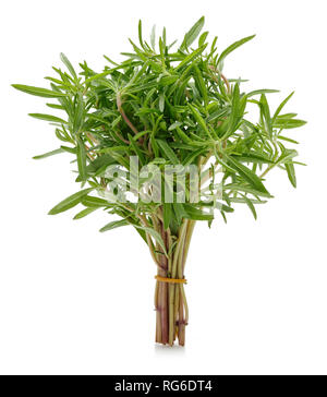 Fresh green thyme isolated on white background Stock Photo