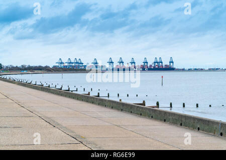 MSC container shipping docked beneath cranes in Harwich docks, Essex England UK. January 2019. Stock Photo