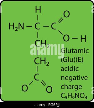 Glutamic Amino Acid Molecule Skeletal Structure Stock Vector