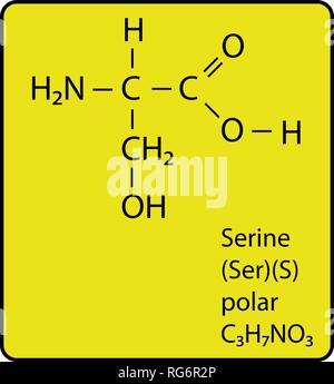 Serine Amino Acid Molecule Skeletal Structure Stock Vector