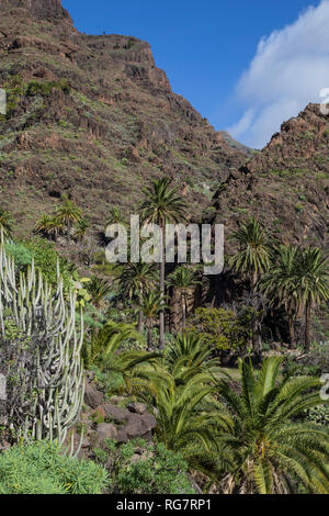 Hiking trail from El Guro to the waterfall in the Barraco of Arure, Valle Gran Rey, La Gomera, Canary Islands, Spain, Europe, Wanderweg von El Guro zu Stock Photo