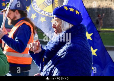 London, UK. 28th January 2019. Remainers protested opposite the Houses of Parliament.On the eve of a series of crunch Commons votes on the future of Brexit.Westminster, London.UK Credit: michael melia/Alamy Live News Stock Photo