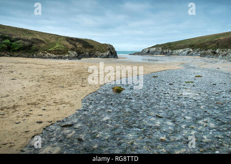 A small river flowing across the beach at low tide at the secluded Polly Porth Joke cove in Newquay Cornwall. Stock Photo