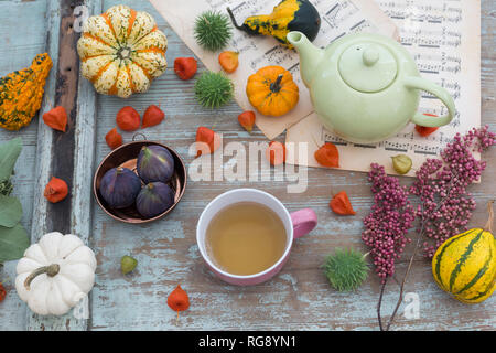 Autumnal table decoration with decorative gourds, Chinese lanterns Stock Photo