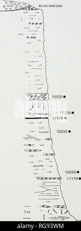 Bulletins Of American Paleontology 38 Bulletin 366 Puntarenas Table 8 Measurements In Mm Of Lepicxihara Liiveiisis New Species Text Ligure 36 Sketch Map Of Quebrada El Higo Costa Rica Showing Position Of Nmb Localitites