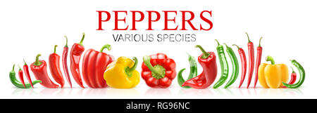 Isolated peppers. Various species of fresh peppers in a row isolated on white background with clipping path Stock Photo
