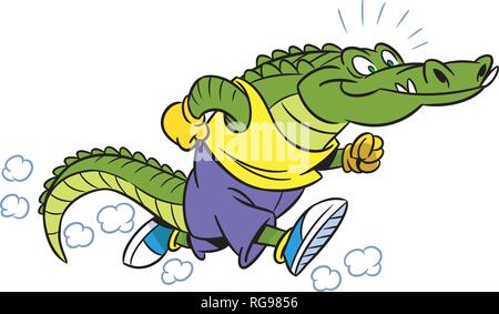 The illustration shows the crocodile, which deals sports running. Illustration done in cartoon style isolated on white background. Stock Vector