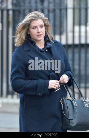 Penny Mordaunt MP (Secretary of State for International Development, Minister for Women and Equalities) leaving Downing Street after a cabinet meeting Stock Photo