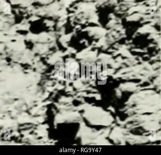 Yaque del Norte river in Jarabacoa, Dominican Republic Stock Photo - Alamy