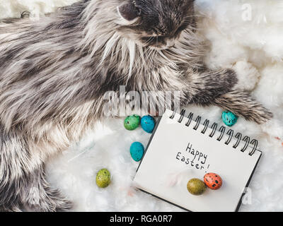 Easter eggs painted with bright colors and a charming kitten on a white background. Top view, close-up. Happy Easter. Preparation for the holiday Stock Photo
