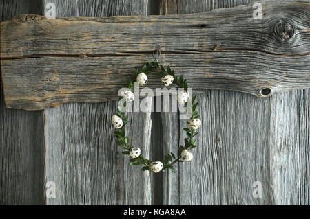 Wreath of box tree twigs with quail eggs in front of rustic wooden wall Stock Photo