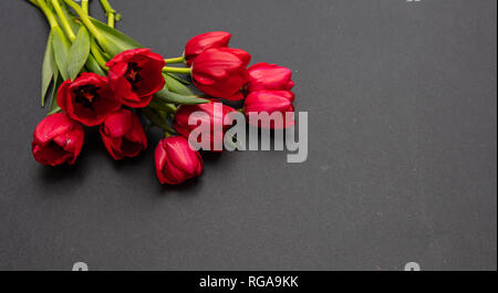 Valentines day concept. Red tulips bouquet on dark gray background, copy space Stock Photo