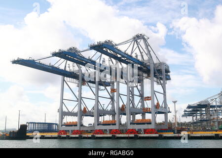 Cranes in Auckland's container port, New Zealand Stock Photo