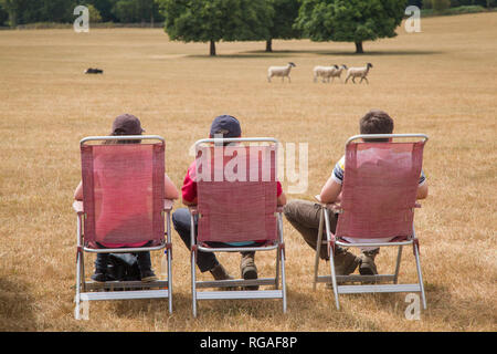 Three young men in deck-chairs watch the Sheep Dog trials at Hambleden near Henley-on-thames, Oxfordshire Stock Photo