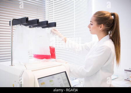 Scientist working in lab Stock Photo