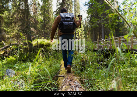 Finland, Lapland, man walking on log in forest Stock Photo