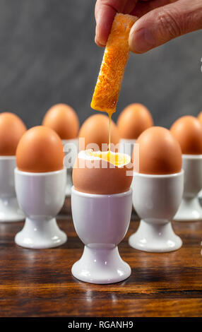 Person dipping toast soldier into one boiled egg of a group of eggs in white egg cups on a wooden table Stock Photo