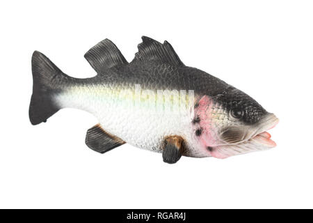 Rubber fish on isolated white background