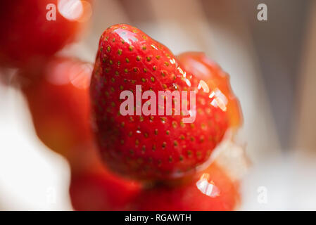 Tanghulu traditional Chinese hard caramel coated strawberry skewers close-up also called bing tanghulu candied hawthorn sticks Stock Photo