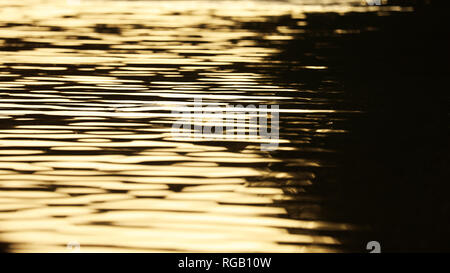 closeup of calm golden ripples on water at sunset. beautiful smooth silky soft waves on a lake at twilight. silk like abstract pattern with glimmering Stock Photo