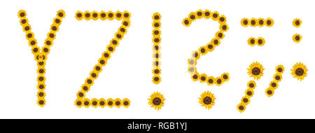 High resolution large color floral/flower characters/letter set Y Z and punctuation marks constructed from sunflower blossom macros, white background Stock Photo