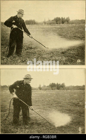 . Bulletin of the U.S. Department of Agriculture. Agriculture. THE BLACKHEAD FIREWORM OF CRAKBERRY, 29. Fig. 12.—Bordeaux nozzle equipment used in spraying experimental plats : a. Nozzles held to show delivery of fan-shaped spray on a horizontal plane; h, noazles held in proper position for delivering spray to vines.. Please note that these images are extracted from scanned page images that may have been digitally enhanced for readability - coloration and appearance of these illustrations may not perfectly resemble the original work.. United States. Dept. of Agriculture. [Washington, D. C. ?]  Stock Photo