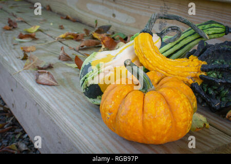Three gourds arranged on the end of outdoor wooden steps with leaves. Stock Photo