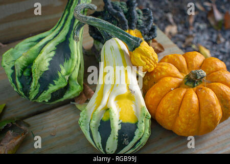 Four gourds arranged on the end of outdoor wooden steps with leaves. Stock Photo