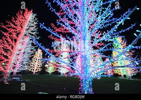 Winter lights festival in Canary Wharf London England, Christmas lights and New year celebration Stock Photo