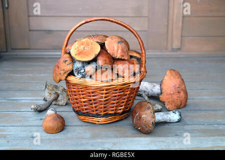 Still life with crop of many edible mushrooms in brown wicker basket on wooden house porch steps front outdoor front view horizontal Stock Photo