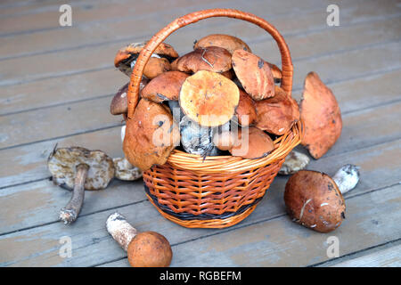 Still life with crop of many edible mushrooms in brown wicker basket on wooden background front outdoor front view horizontal Stock Photo