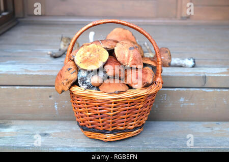 Still life with crop of many edible mushrooms in brown wicker basket on wooden house porch steps front outdoor front view horizontal Stock Photo