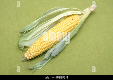 Ripe raw corn on the cob on green tablecloth diagonal view closeup Stock Photo