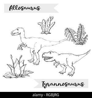 Vector Allosaurus and Tyrannosaurus with plant and stone over white. Stock Vector