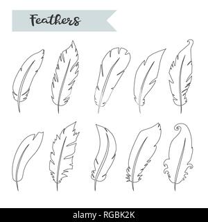 Vector feathers icon,sign,symbol, set, collection isolated vector Stock Vector