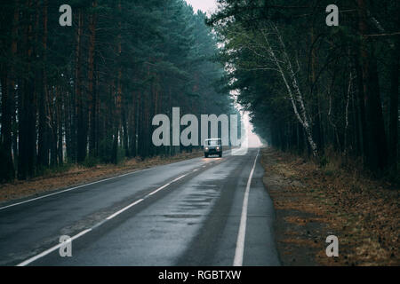 Van driving on country road through pine forest Stock Photo