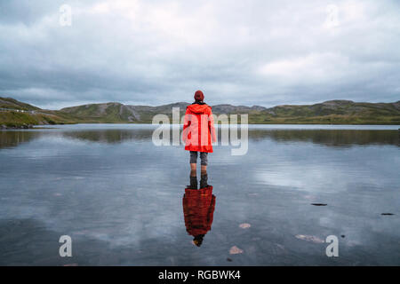 Young man standing ankle deep in water, looking at distance, rear view Stock Photo