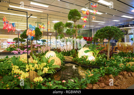 SINGAPORE - CIRCA SEPTEMBER, 2016: natural plants and flowers at Singapore Changi Airport. Changi Airport is one of the largest transportation hubs in Stock Photo