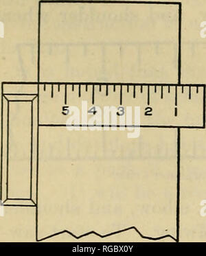 . Bulletin of the U.S. Department of Agriculture. Agriculture; Agriculture. BULLETIN 527, U. S. DEPARTMENT OP AGRICULTURE. length of the board. As the square forms a right angle, the short side â will then be at right angles to the sides of the board; consequently, a line drawn on the board along this short side will be at right angles to the side of the board. The try square is used for squaring up boards, as shown in figure 7, and also for testing surfaces and testing angles. Figures 15 and 16, pages 6 and 7, show these operations. The hammer has two usesâto drive nails, and to pull nails. W Stock Photo