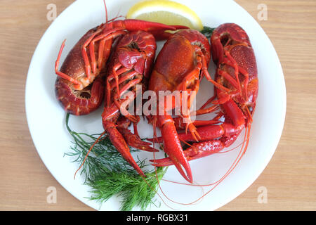 Boiled crayfish color with lemon and dill lie on a round white plate on a wooden table surface. Top view close-up Stock Photo