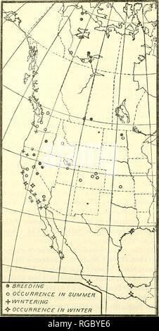 . Bulletin of the U.S. Department of Agriculture. Agriculture; Agriculture. 42 BULLETIN 292, U. S. DEPARTMENT OP AGRICULTURE. April 24, 1903 (Bowman); Harrisburg, N. Dak., April 25, 1904 (Eastgate); and the last at Catalina Island, CaL, May 12, 1897 (Grin- nell); Monterey, CaL, May 19, 1897 (Loomis); and San Jose del Cabo, Lower California, May 17, 1882 (Belding). Eggs have been taken at Pyramid Lake, Nev., May 16, 1868, May 15, 1875, and June 4, 1891 (specimens in U. S. Na- tional Museum); Car- rington Island in Great Salt Lake, June 17,1869 (Kidgway); Fort Reso- lution, Mackenzie, June 26, 1 Stock Photo