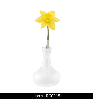 A white vase with single daffodil narcissus isolated on white with clipping path Stock Photo