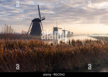 Netherlands, Holland, Rotterdam, Kinderdijk Stock Photo