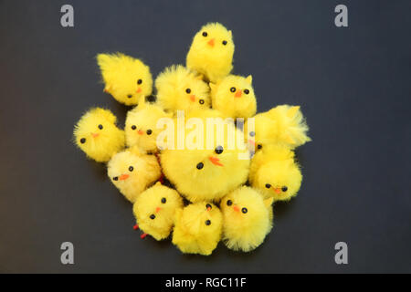 Cake decoration mother chick & baby chicks ready for easter. Stock Photo