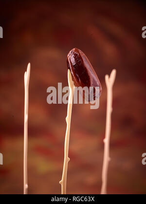 Succulent dates, food still-life photograph Stock Photo